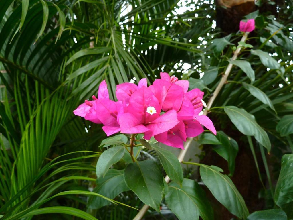 El Refugio Hotel Foz do Iguacu Exterior photo
